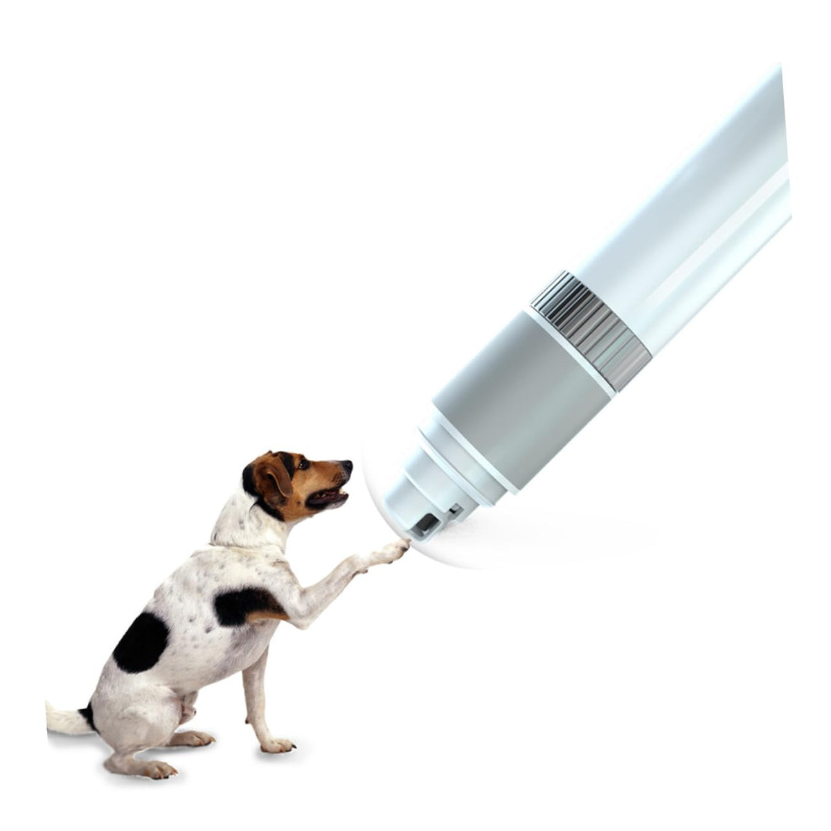 Electric Nail Grinder for Dogs M106