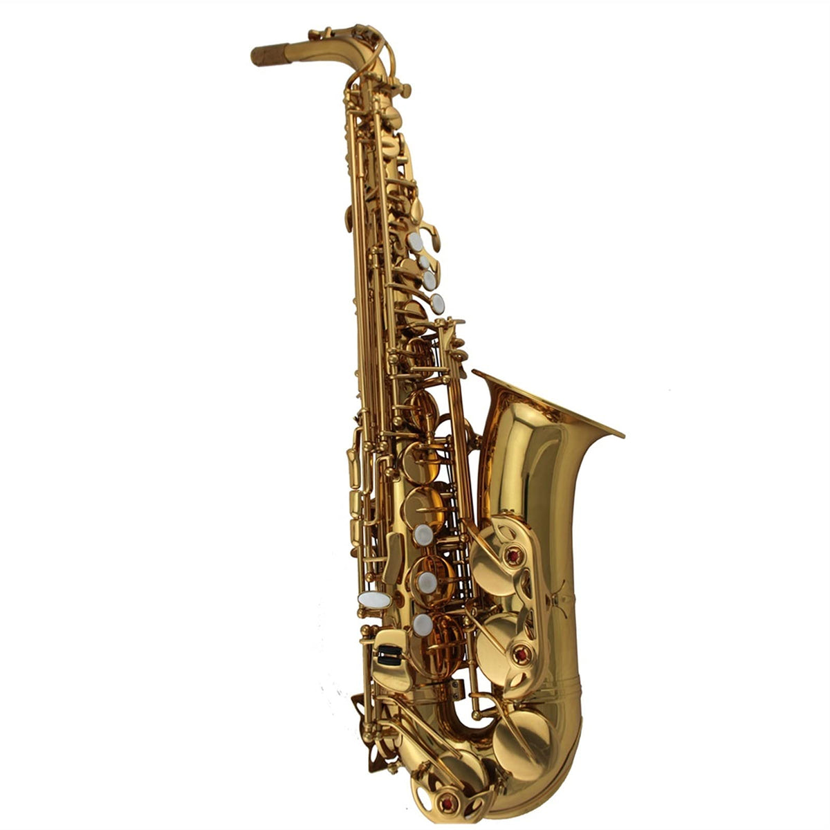 Alto Saxophone Set R8617