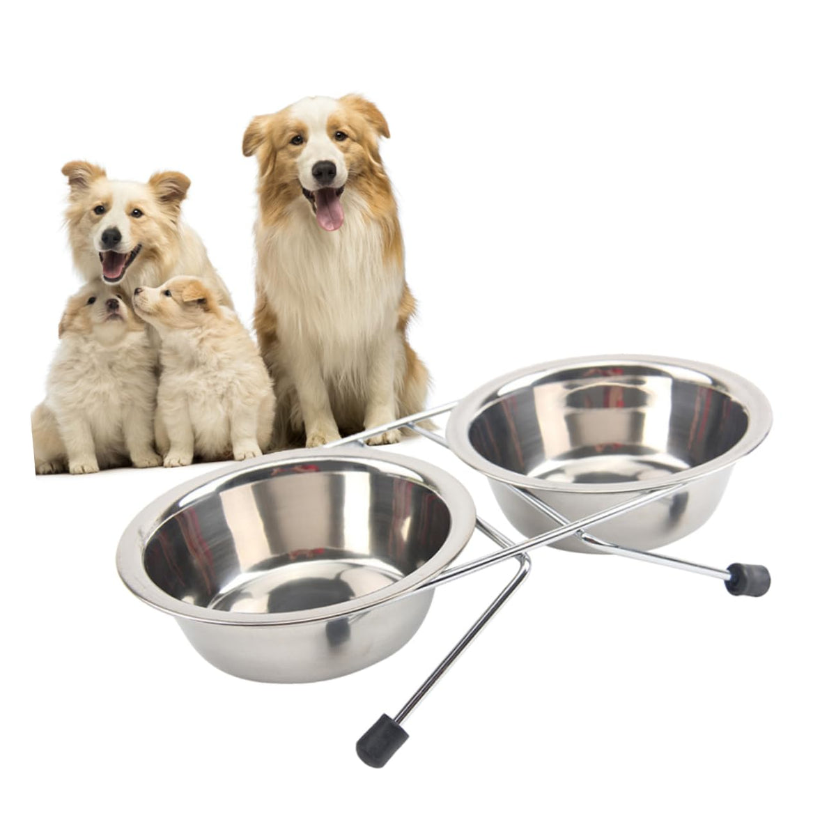 Stainless Steel Dog Cat Bowls Set E309397