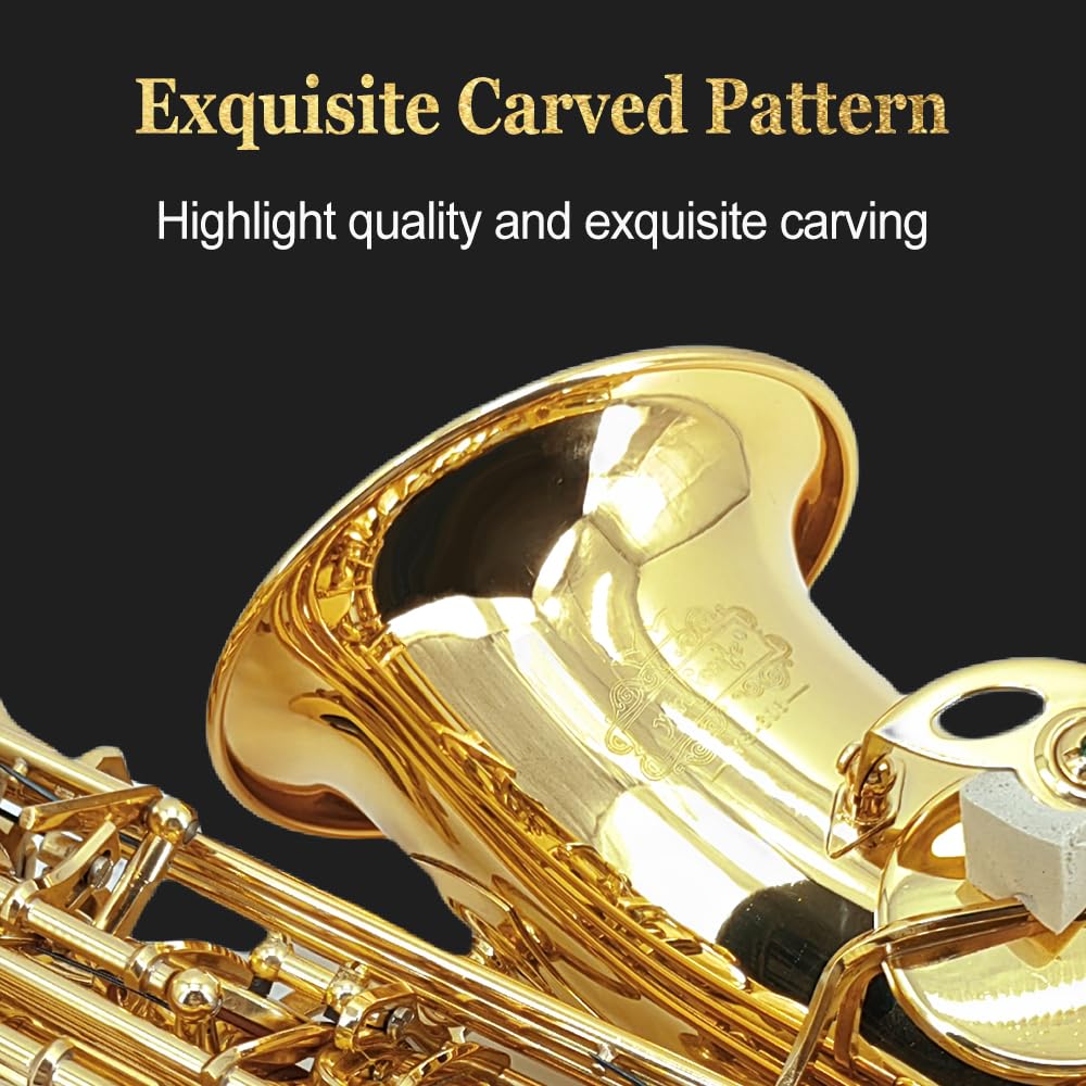 Eb Alto Saxophone Full Kit with Carrying Case C707328