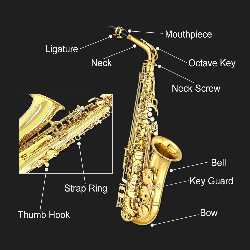 Eb Alto Saxophone Full Kit with Carrying Case C707328