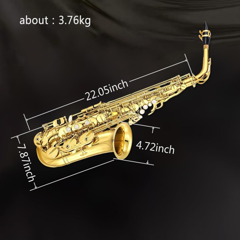 Eb Alto Saxophone Full Kit with Carrying Case C707328