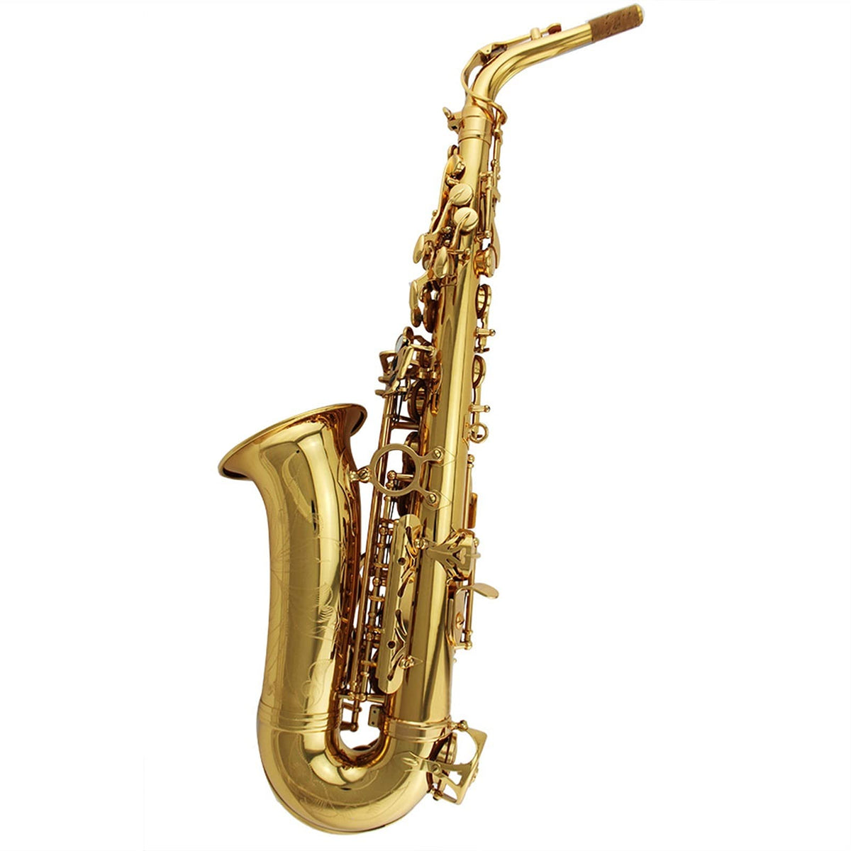 Alto Saxophone Set R8617