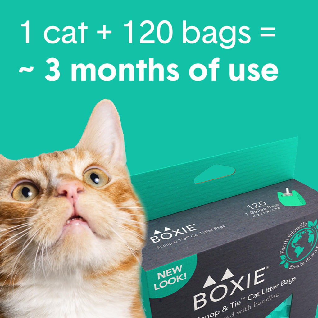 120 Count Leak-Proof Pet Waste Bags with Easy-to-Tie Handles M216934
