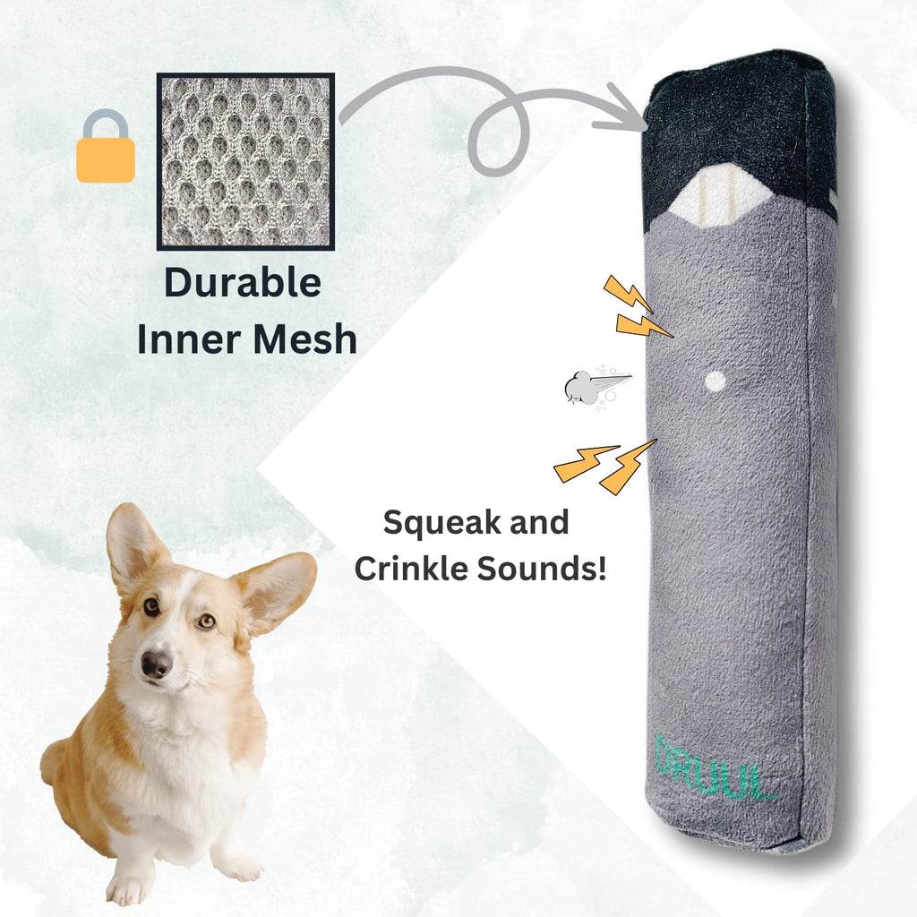 Plush Squeaky Crinkle Dog Toy M602054
