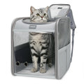 Cat Carrier Backpack Bubble Pet Carrier Y3945