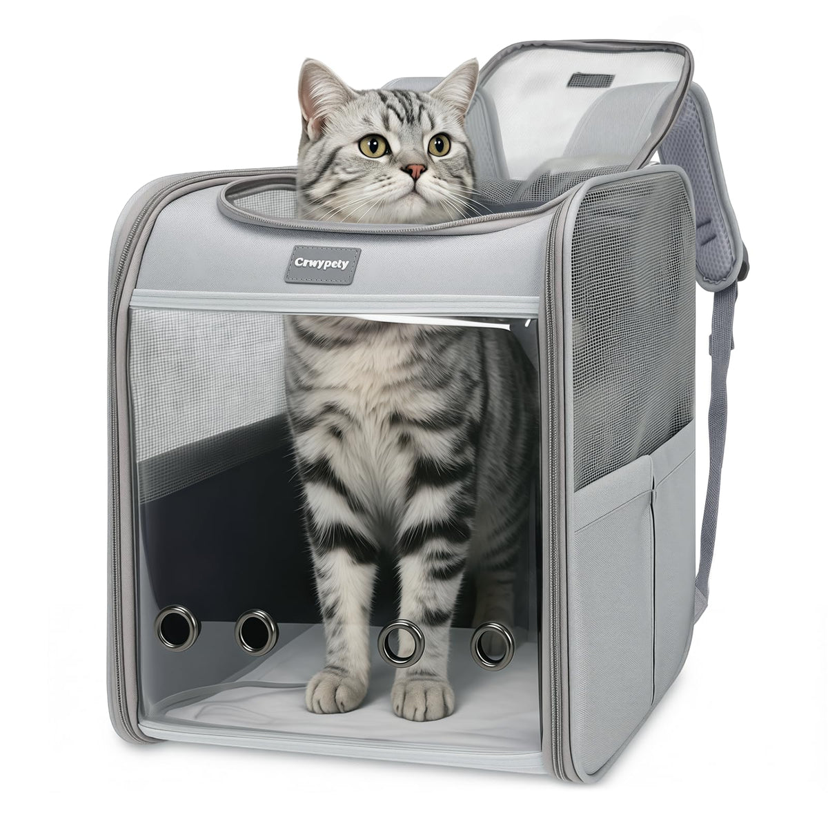 Cat Carrier Backpack Bubble Pet Carrier Y3945