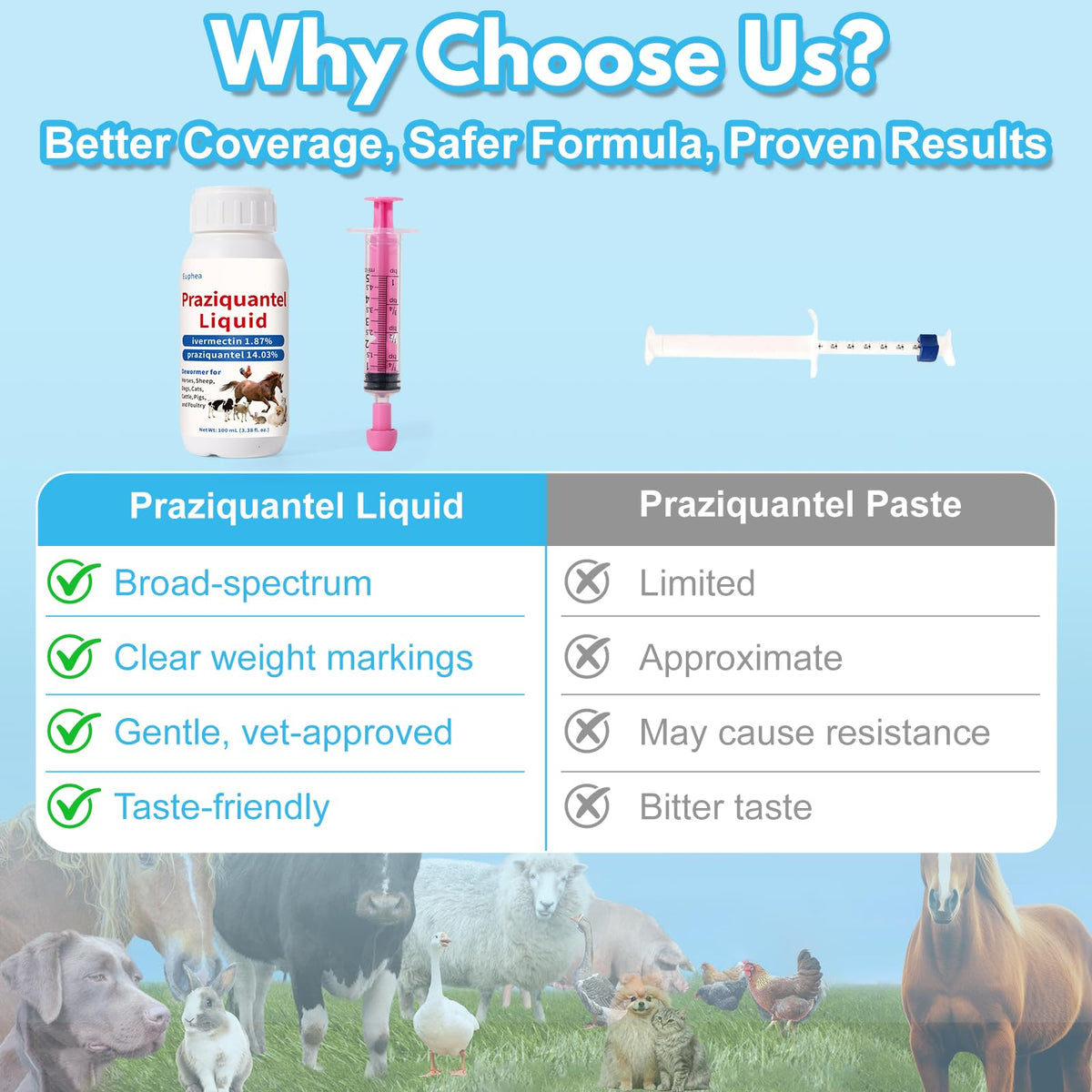 Praziquantel Dewormer 100 mL Y6513