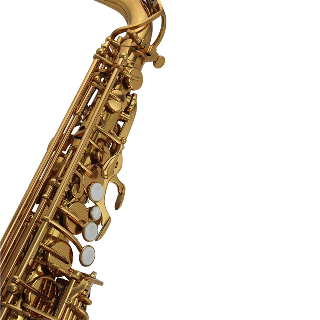 Alto Saxophone Set R8617