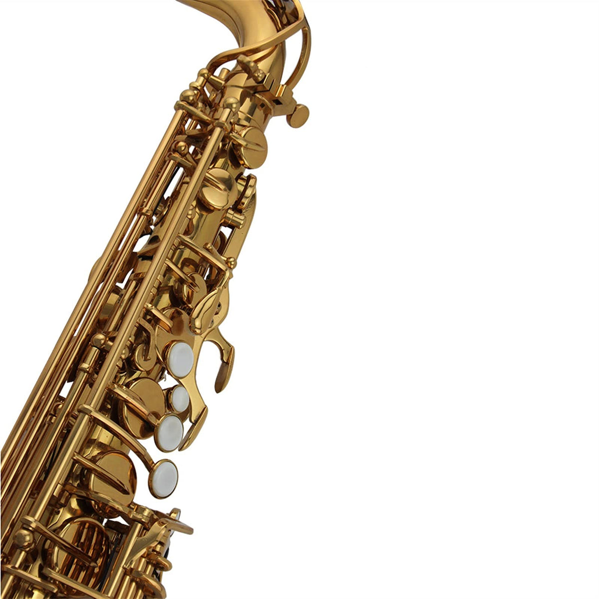 Alto Saxophone Set R8617