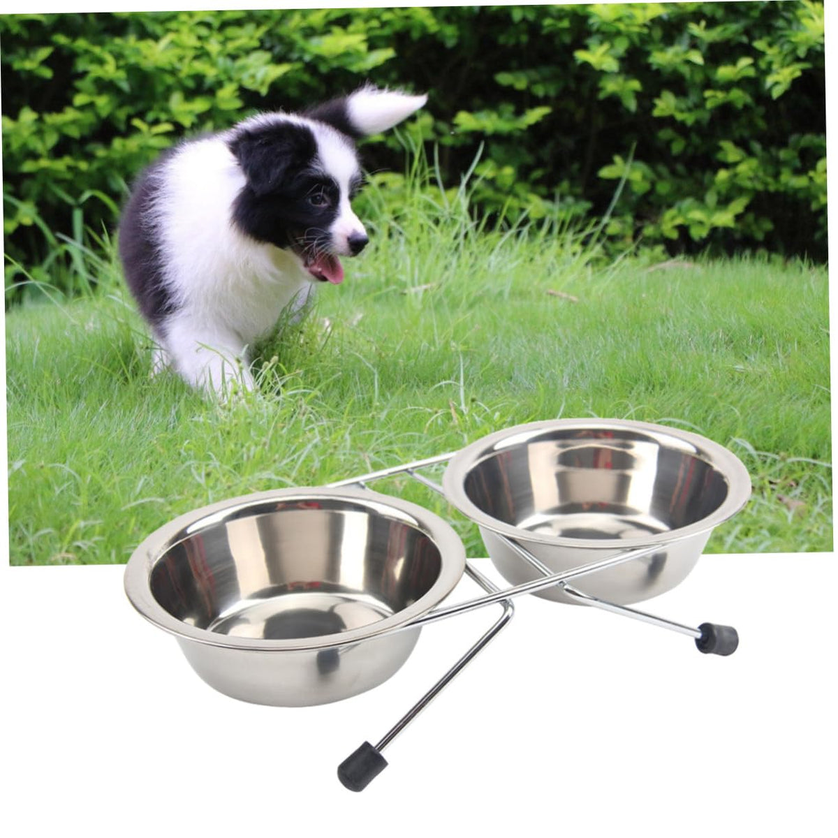 Stainless Steel Dog Cat Bowls Set E309397
