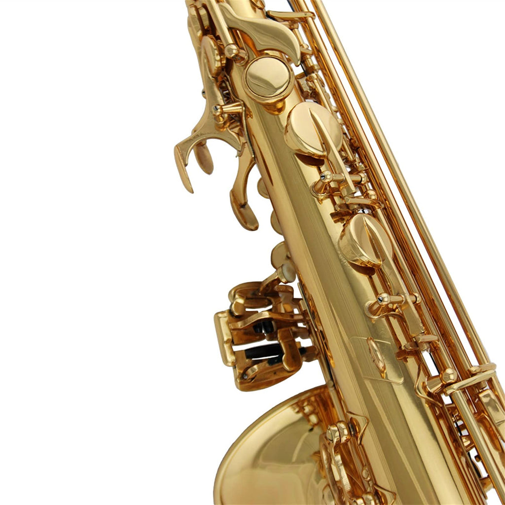 Alto Saxophone Set R8617