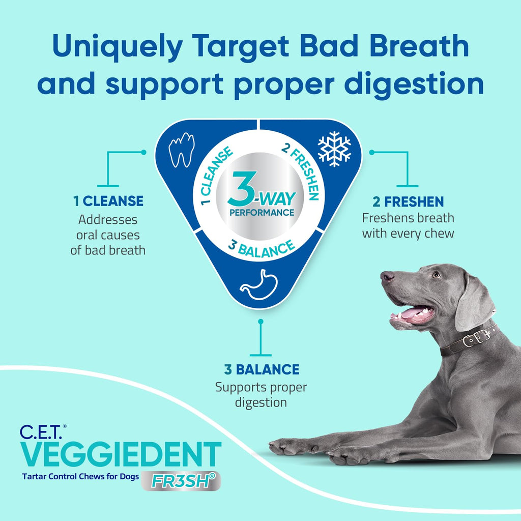 Plaque and Tartar Control Chews for Dogs, Medium G880551
