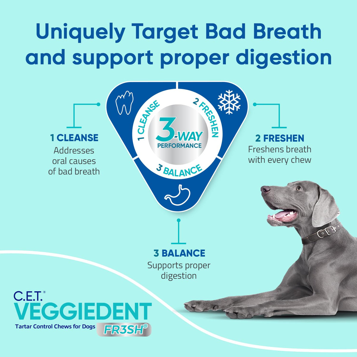 Plaque and Tartar Control Chews for Dogs, Medium G880551