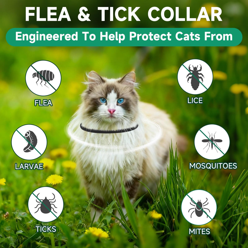 Black 4-Pack Cat Flea and Tick Collar G4432
