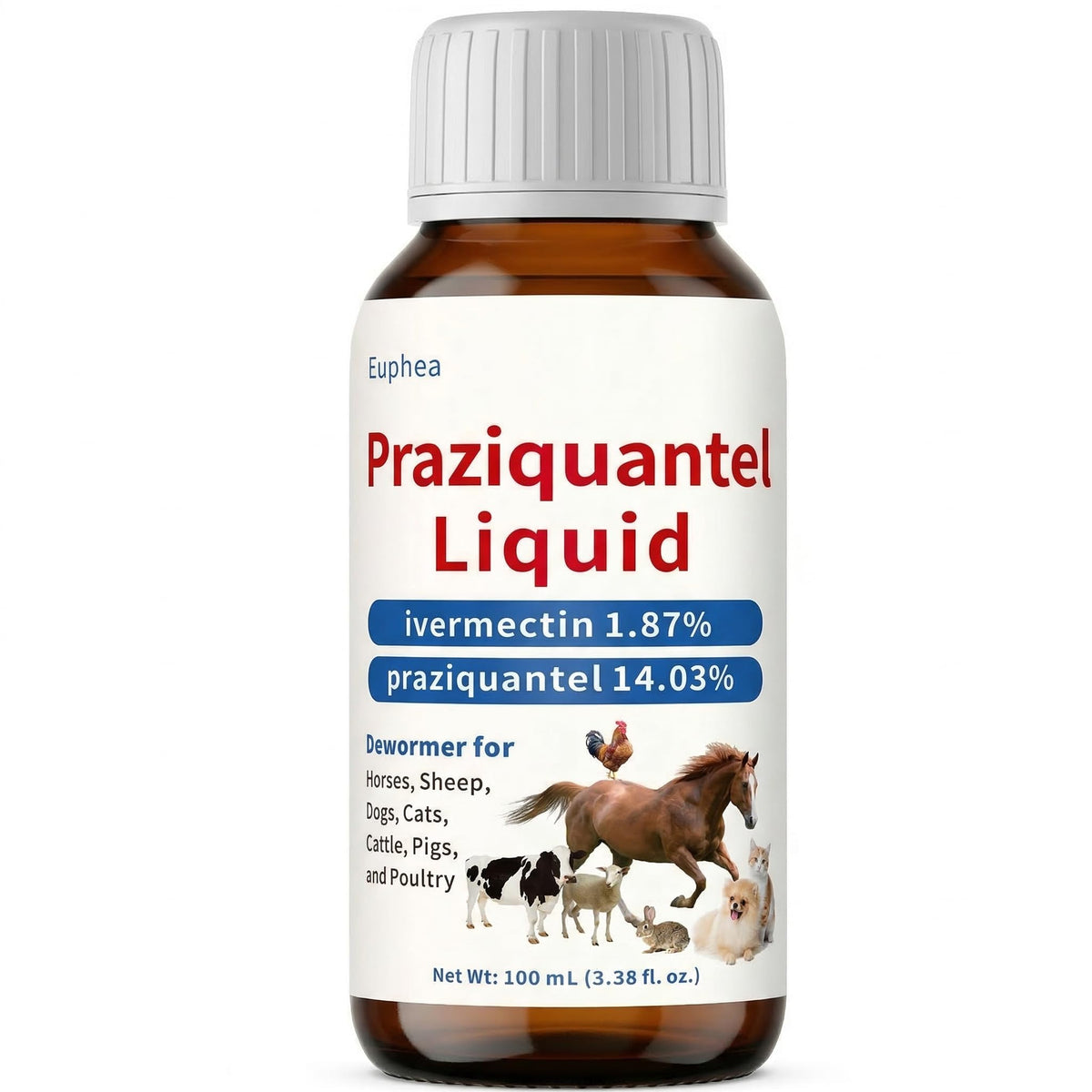 Praziquantel Dewormer 100 mL Y6513
