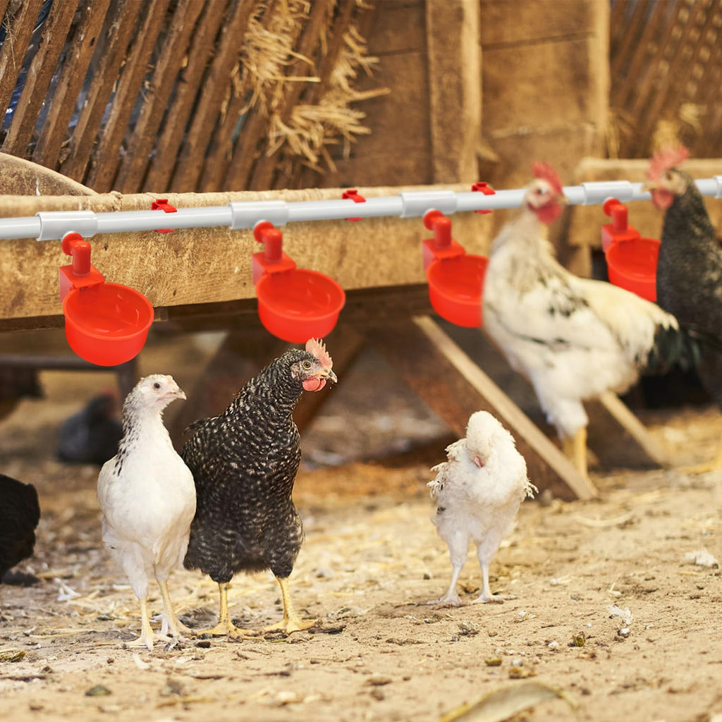 Automatic Chicken Waterer System Kit 58 PCS V458
