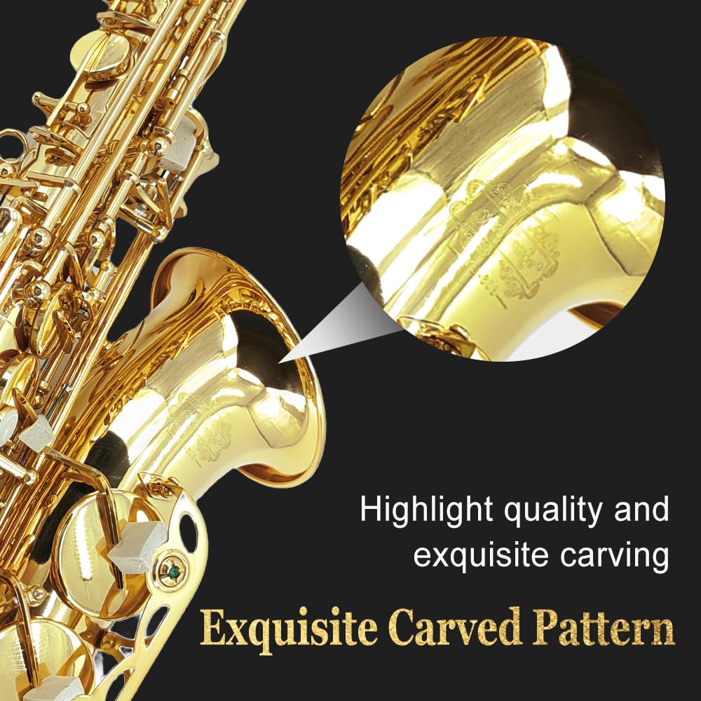 Eb Alto Saxophone Full Kit with Carrying Case C707328