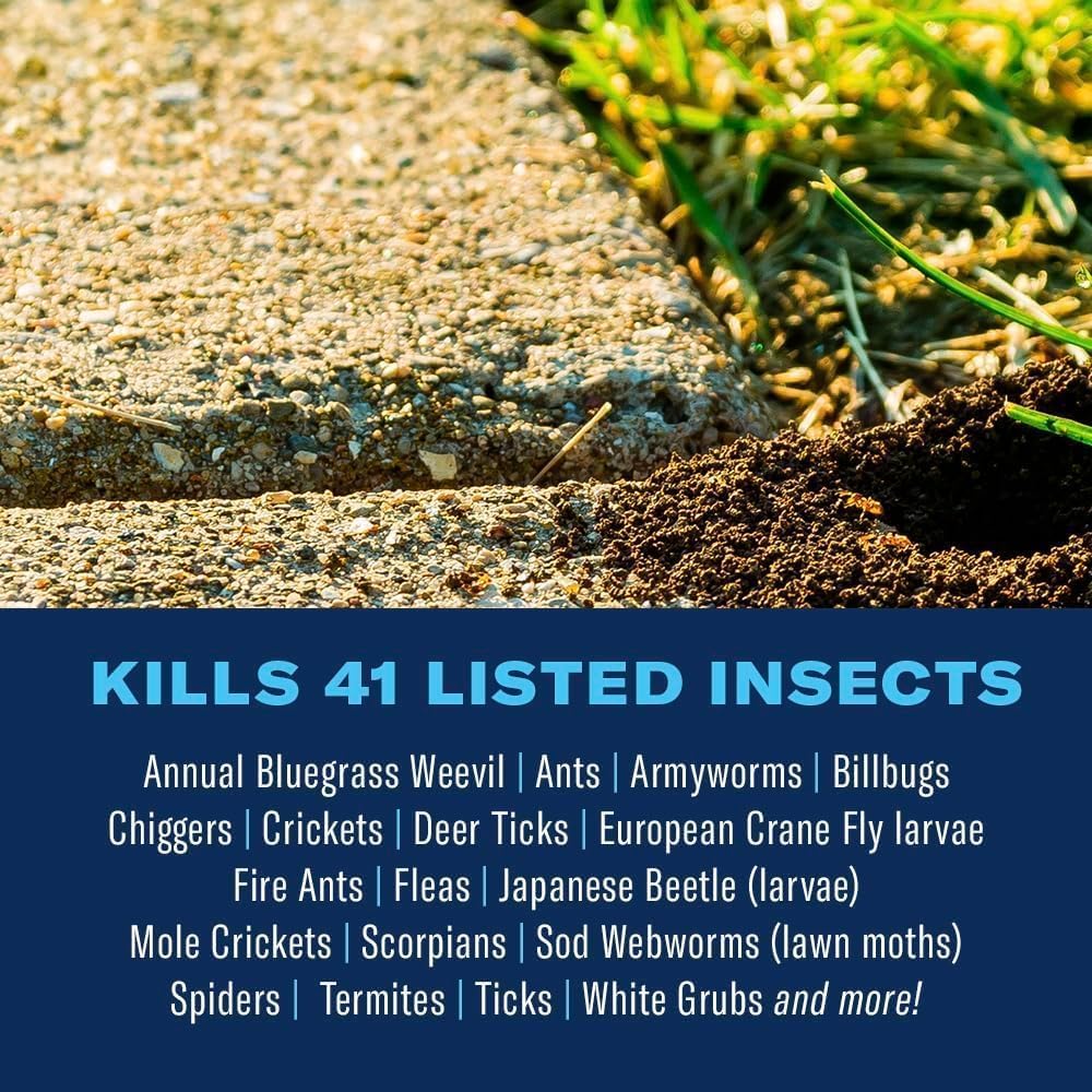 Insect Killer Granules 10 lb Bag L27317