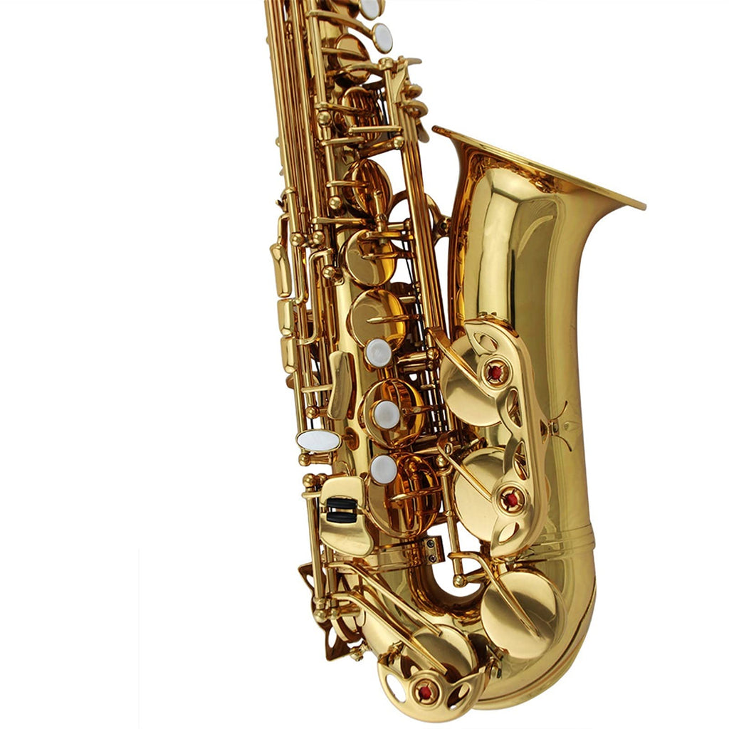 Alto Saxophone Set R8617