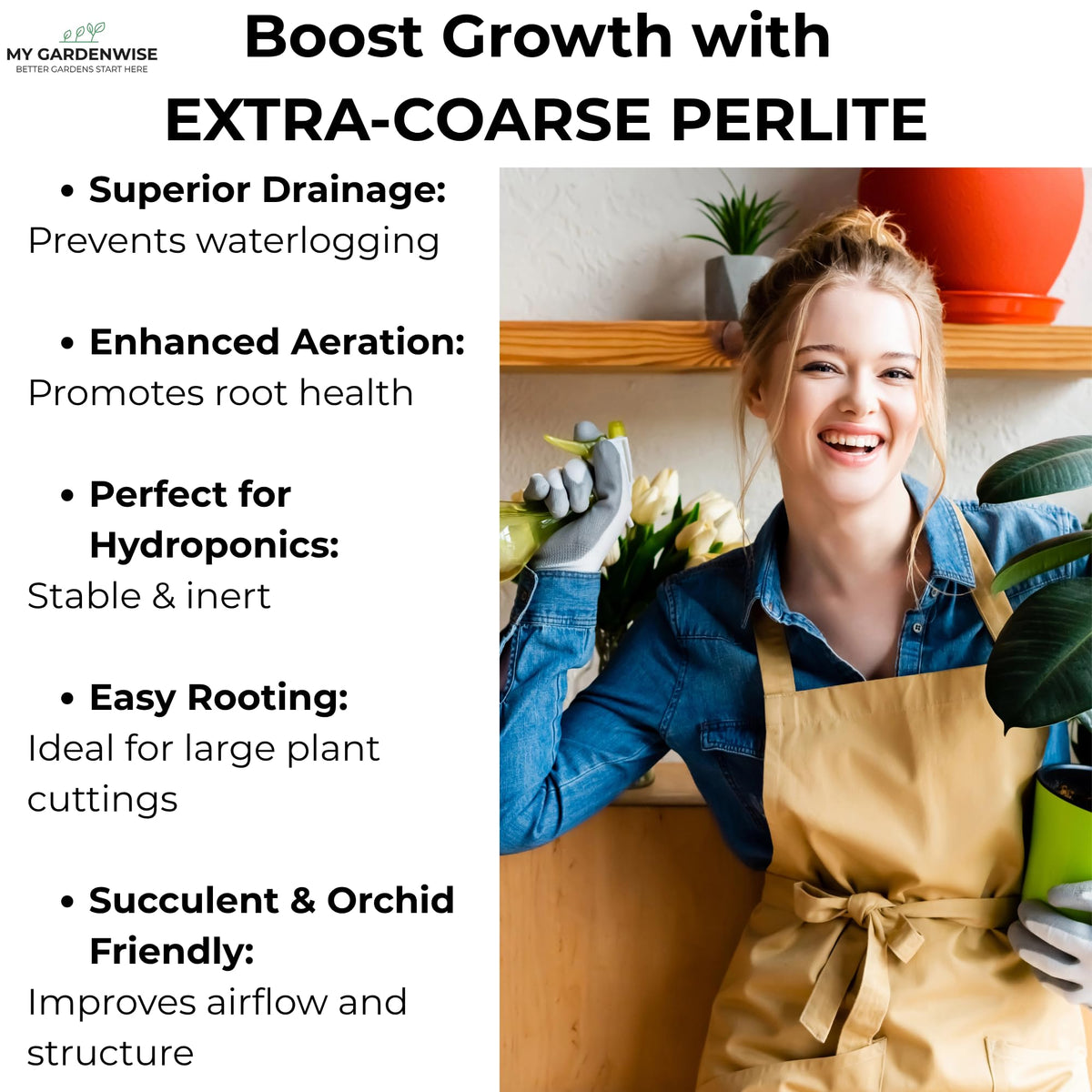 Perlite for Plants, Extra Coarse Grade 4 Horticultural Perlite, 3 quarts L9391