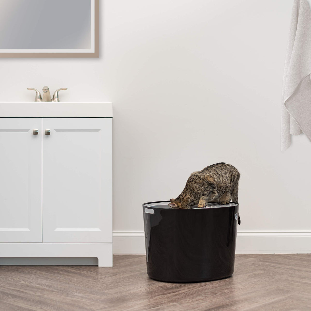 Top Entry Cat Litter Box, Large, Black/Gray O147