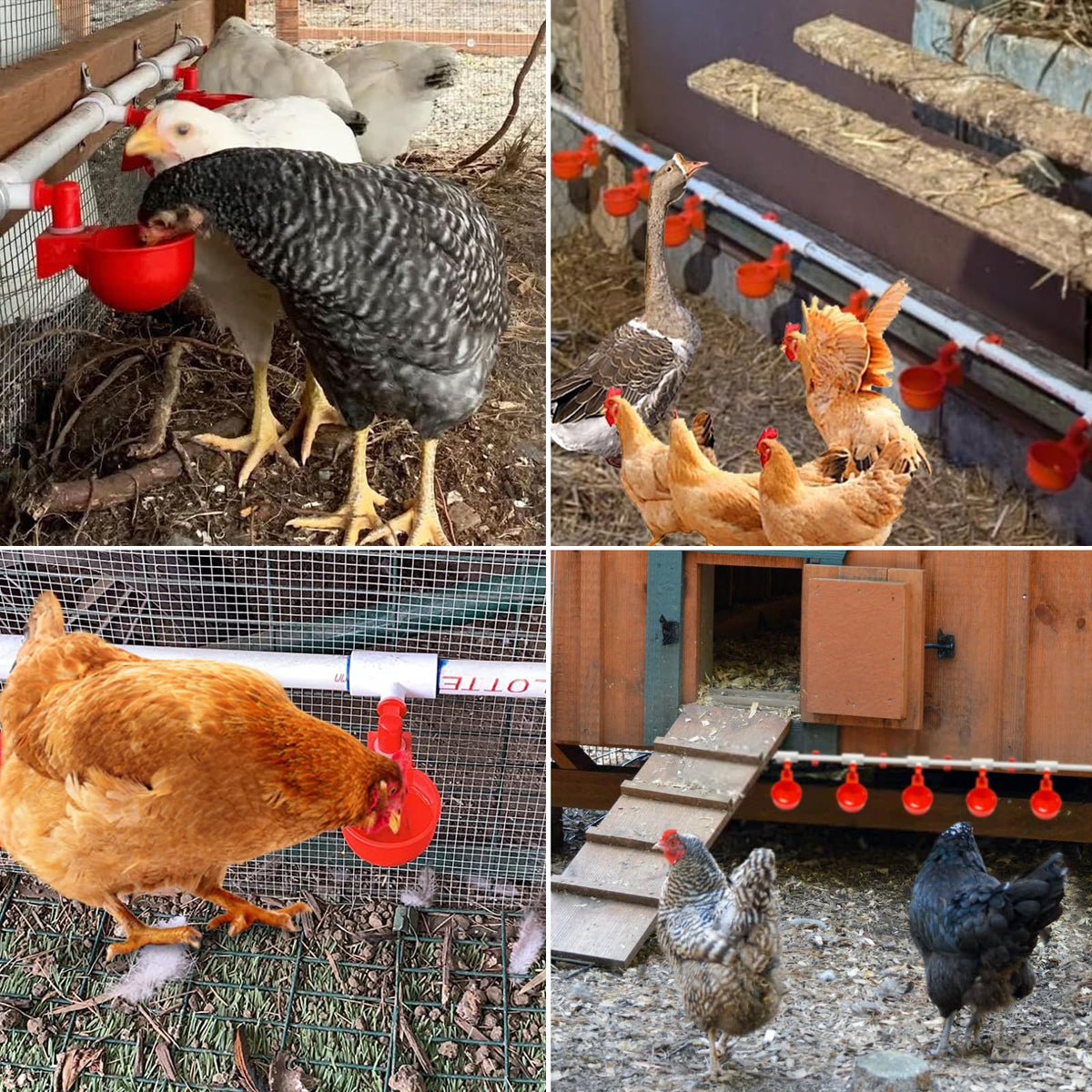 Automatic Chicken Waterer System Kit 58 PCS V458