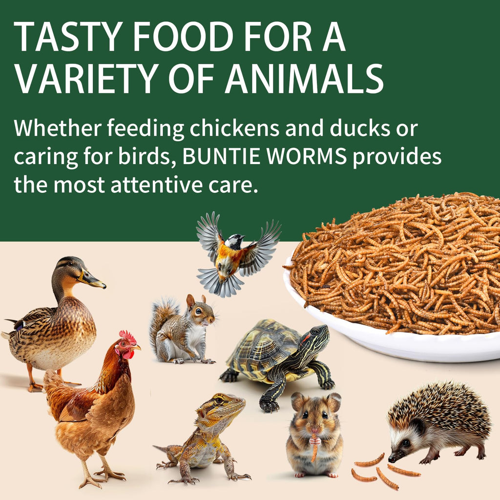 20LB Dried Mealworms L14217