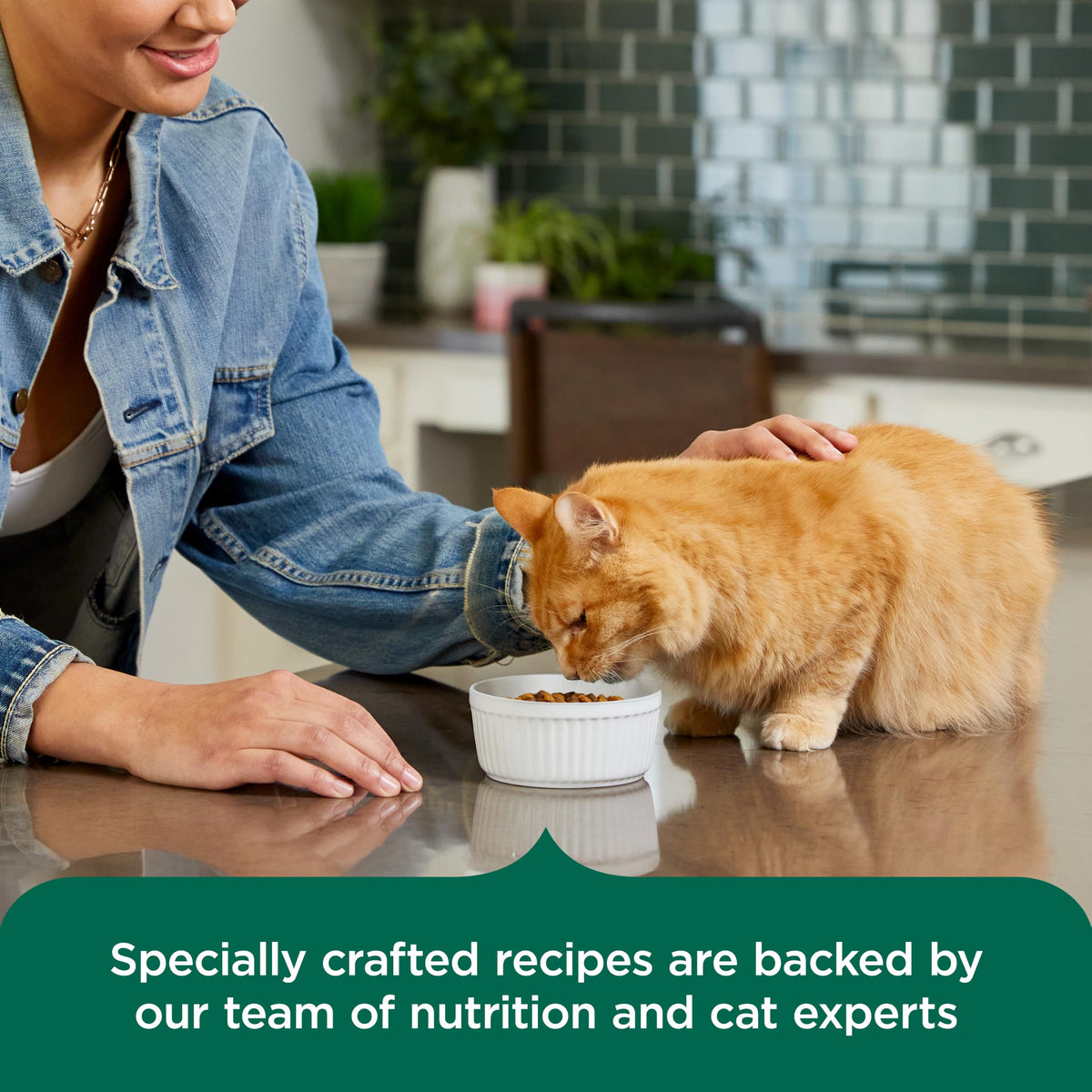 Indoor Complete Dry Cat Food 14 lb. Bag M3005