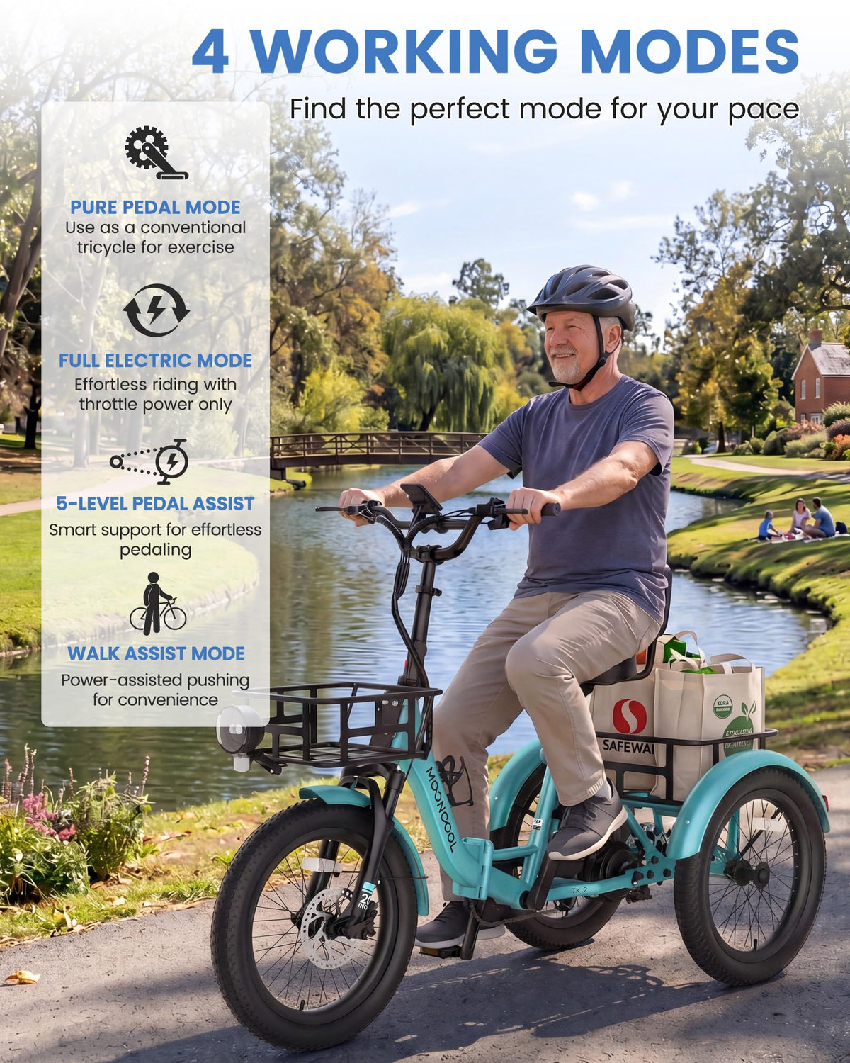 Electric Tricycle for Adults, 500W 20" Fat Tire Folding Trike C3094